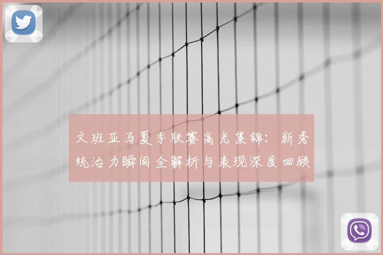文班亚马夏季联赛高光集锦：新秀统治力瞬间全解析与表现深度回顾
